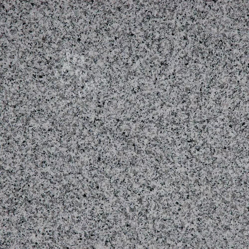 廉江市（廣東芝麻白、芝麻灰、浪花白產地）領導調研塘蓬鎮石材產業基地項目建設工作