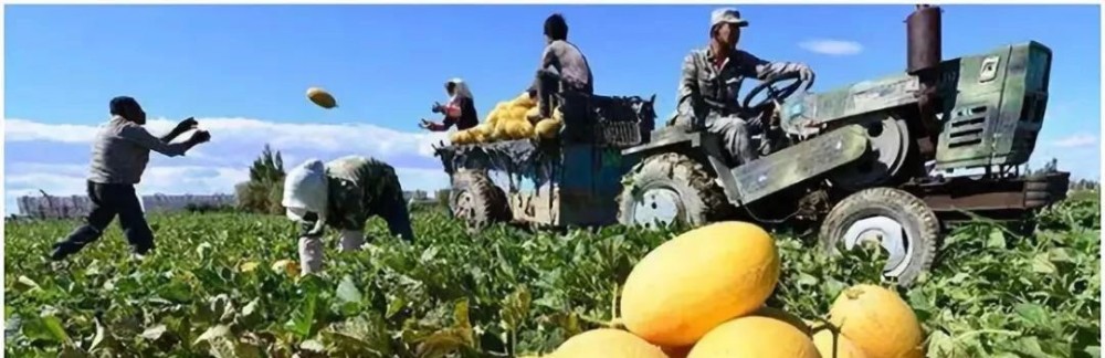 帶你領略大美新疆，附新疆產天然石材品種圖！