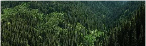 帶你領略大美新疆，附新疆產天然石材品種圖！