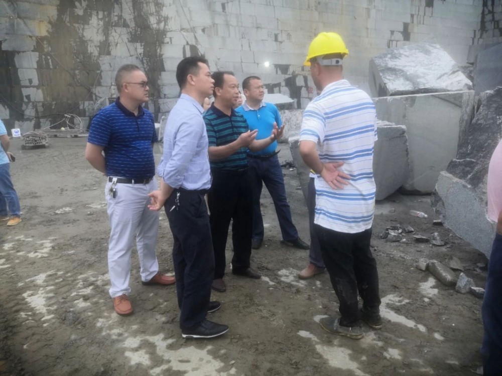 廣西鐘山縣人大副主任到花山鄉花崗巖礦山調研，附鐘山青（廣西芝麻黑）欣賞！