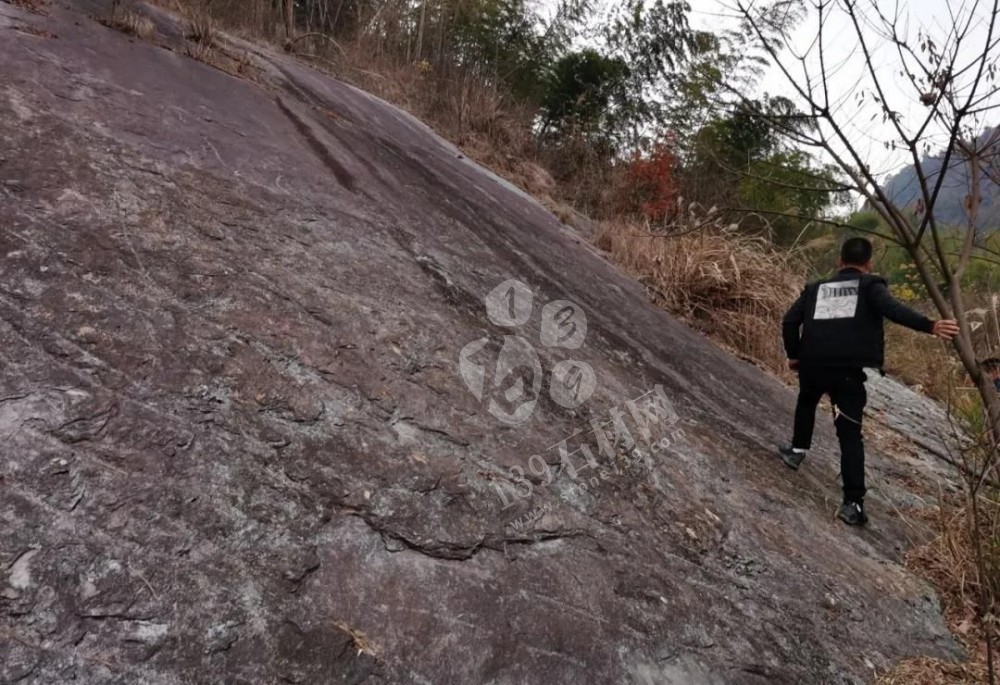 江西省安福縣委書記等領導一行蒞臨方通石業視察指導！附江西吉安新品青石欣賞！ 