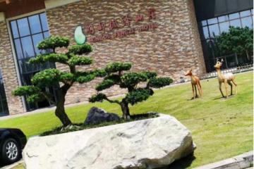 晏輝：用石材做的花盆真的人見人愛，每一款都獨具味道