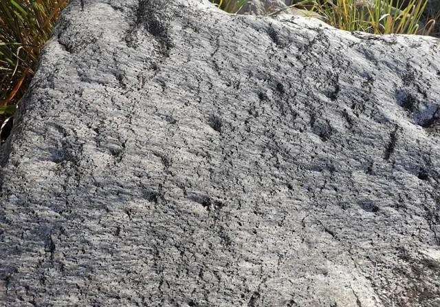 人跡罕至！浙江溫州永嘉這里有條花崗巖石河、平板溪