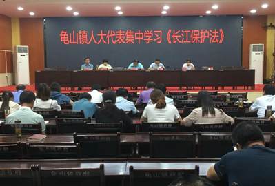 聚焦優化營商環境，助推石材產業發展——麻城龜山鎮人大代表在行動